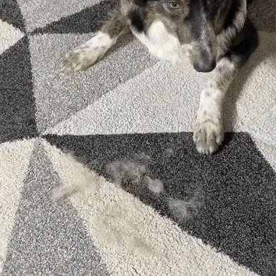 Demonstration gif
