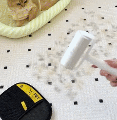 Portable cleaning gif